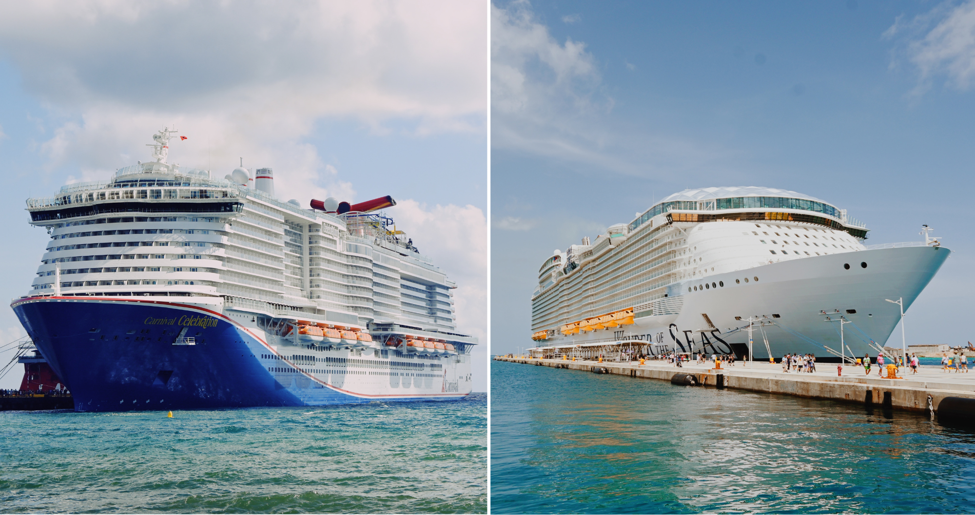 Cruises vs Royal Caribbean